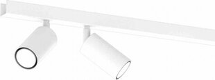 Milagro HUDSON WHITE 4xGU10 griestu lampa цена и информация | Потолочные светильники | 220.lv