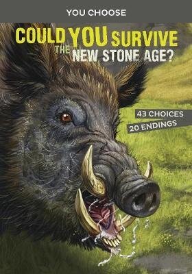 Could You Survive the New Stone Age?: An Interactive Prehistoric Adventure цена и информация | Grāmatas pusaudžiem un jauniešiem | 220.lv