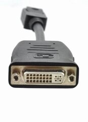 XFX DP - DVI SL BOX цена и информация | Адаптеры и USB разветвители | 220.lv