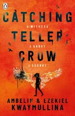 Catching Teller Crow цена и информация | Книги для подростков и молодежи | 220.lv