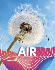 Air цена и информация | Книги для подростков и молодежи | 220.lv