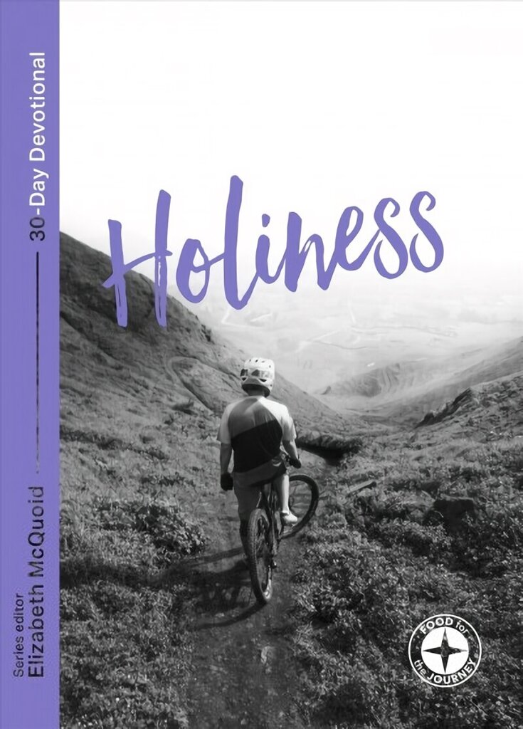 Holiness: Food for the Journey цена и информация | Garīgā literatūra | 220.lv