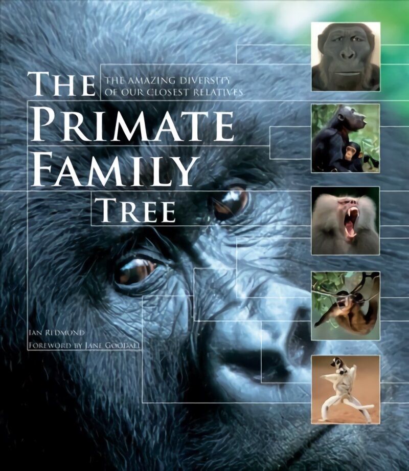 Primate Family Tree: The Amazing Diversity of Our Closest Relatives cena un informācija | Grāmatas par veselīgu dzīvesveidu un uzturu | 220.lv