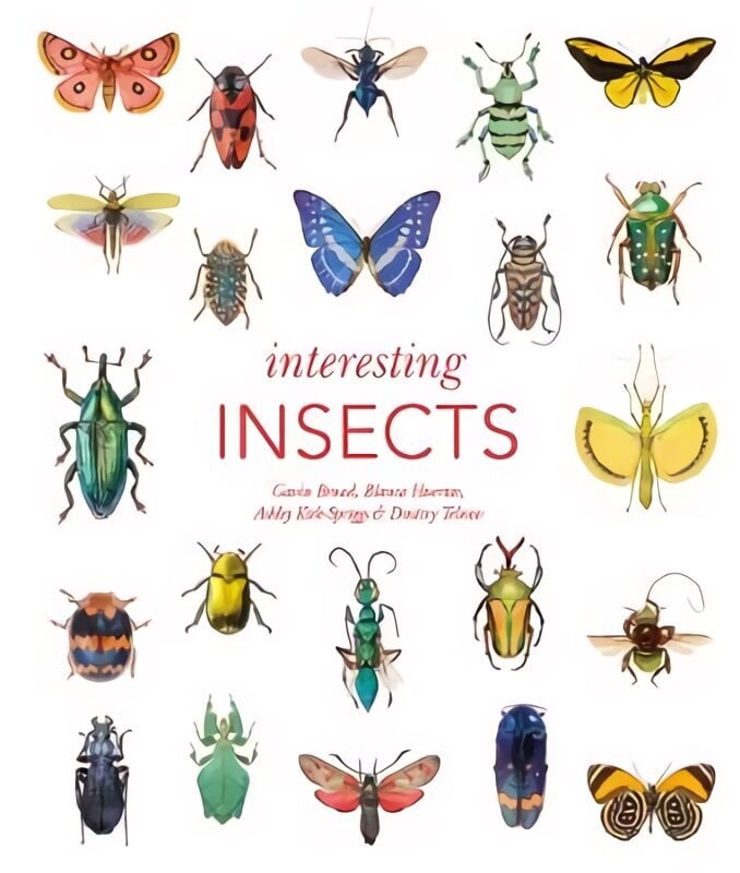 Interesting Insects cena un informācija | Ekonomikas grāmatas | 220.lv