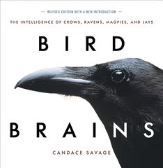 Bird Brains: The Intelligence of Crows, Ravens, Magpies, and Jays New edition cena un informācija | Grāmatas par veselīgu dzīvesveidu un uzturu | 220.lv