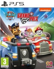 Paw Patrol: Grand Prix (PlayStation 5 game) cena un informācija | Datorspēles | 220.lv