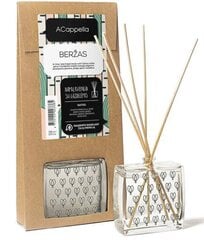 Mājas aromāts ar kociņiem ACappella Birch 100 ml. cena un informācija | Mājas aromāti | 220.lv