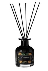 Mājas aromāts ar kociņiem Black Edition Vetiver & Cedarwood 100 ml. cena un informācija | Aromika Smaržas, kosmētika | 220.lv