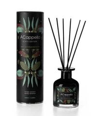 Mājas aromāts ar kociņiem Black Edition Palo santo & sandalwood 100 ml. cena un informācija | Mājas aromāti | 220.lv