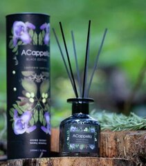 Mājas aromāts ar kociņiem Black Edition Cashmere comforts 100 ml. cena un informācija | Mājas aromāti | 220.lv