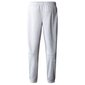 M reaxion fl jogger the north face vīriešiem grey nf0a7z9pdyx NF0A7Z9PDYX cena un informācija | Sporta apģērbs vīriešiem | 220.lv