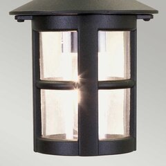 Piekaramā lampa Elstead Lighting Hereford BL21B-BLACK cena un informācija | Lustras | 220.lv