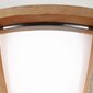 Griestu lampa Elstead Lighting Allier FE-ALLIER-F-LW cena un informācija | Griestu lampas | 220.lv