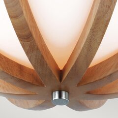 Потолочный светильник Elstead Lighting Allier FE-ALLIER-F-LW цена и информация | Потолочные светильники | 220.lv