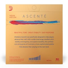 Stīgas vijolei D'addario Ascente Violin 1/2 Medium A310 1/2M cena un informācija | D'Addario Mūzikas instrumenti un piederumi | 220.lv