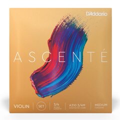 Stīgas vijolei D'addario Ascente Violin 3/4 Medium A310 3/4M cena un informācija | Mūzikas instrumentu piederumi | 220.lv