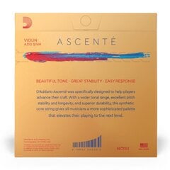 Stīgas vijolei D'addario Ascente Violin 3/4 Medium A310 3/4M cena un informācija | D'Addario Mūzikas instrumenti un piederumi | 220.lv