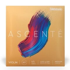 Stīgas vijolei D'addario Ascente Violin 4/4 Medium A310 4/4M cena un informācija | Mūzikas instrumentu piederumi | 220.lv