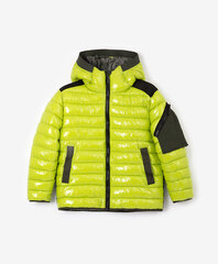 Демисезонная куртка Gulliver для мальчиков, цвет салатовый цена и информация | Зимняя одежда для детей | 220.lv