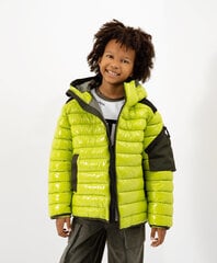 Демисезонная куртка Gulliver для мальчиков, цвет салатовый цена и информация | Зимняя одежда для детей | 220.lv