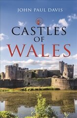 Castles of Wales цена и информация | Книги об архитектуре | 220.lv