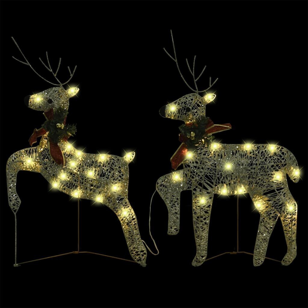 Ziemassvētku ziemeļbrieži, 2 gab., 40 LED цена и информация | Ziemassvētku dekorācijas | 220.lv