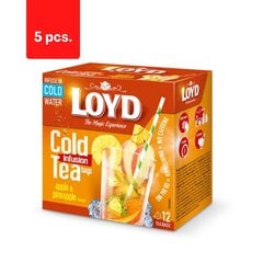 Tēja LOYD Cold Infusion, ābolu un ananāsu garša, 12 x 2,5 g x 5 iepakojumi. cena un informācija | Tēja | 220.lv