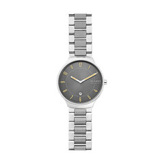 Vīriešu Pulkstenis Skagen GRENEN (Ø 38 mm) S7210404 цена и информация | Мужские часы | 220.lv