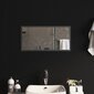 LED vannas istabas spogulis, 60x30cm цена и информация | Spoguļi | 220.lv