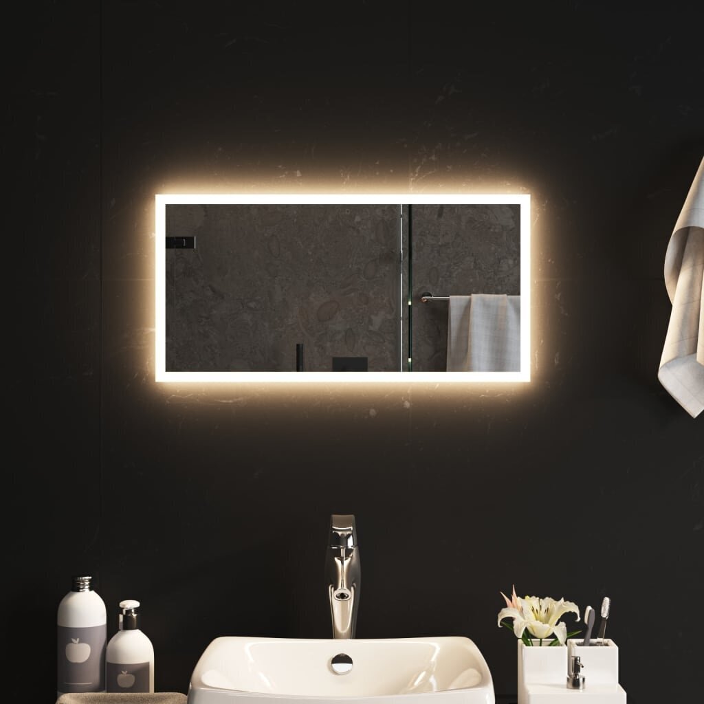 LED vannas istabas spogulis, 30x60cm cena un informācija | Spoguļi | 220.lv