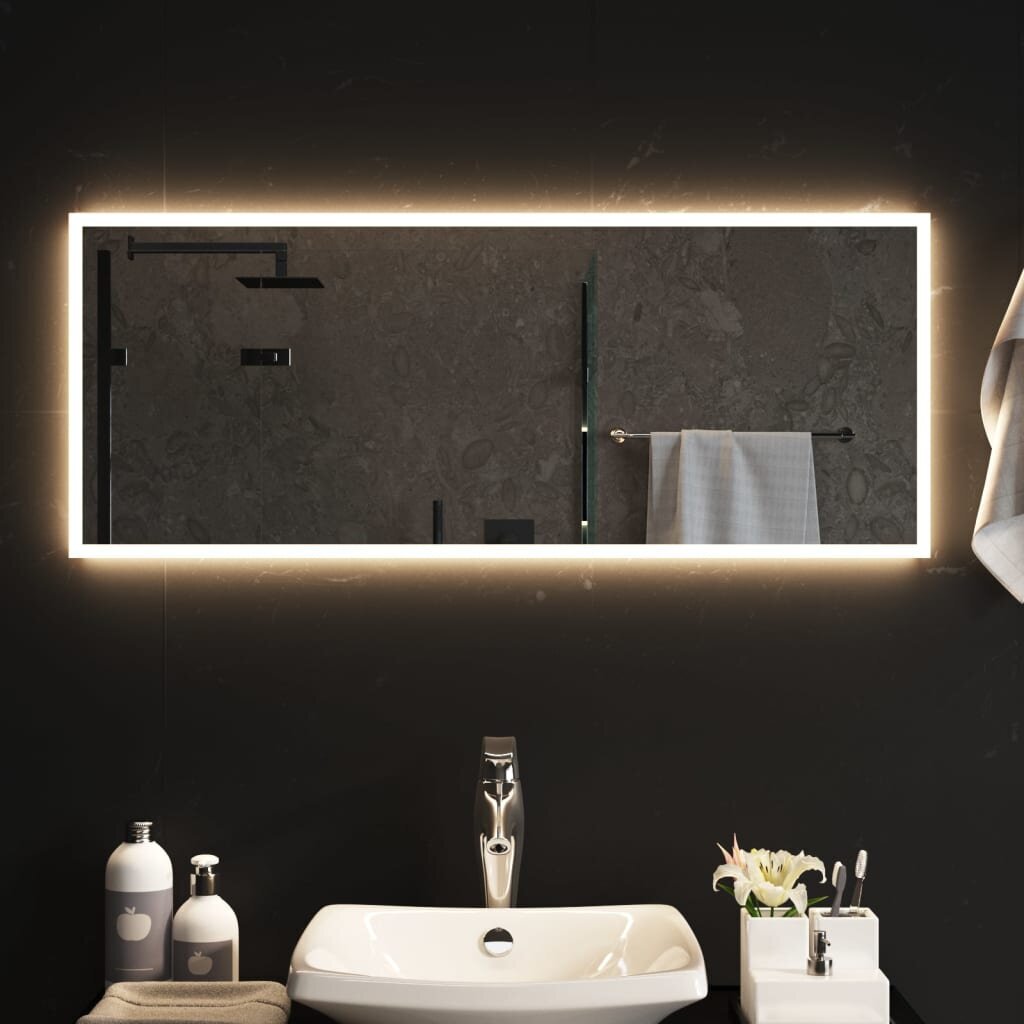 LED vannas istabas spogulis, 40x100cm cena un informācija | Spoguļi | 220.lv