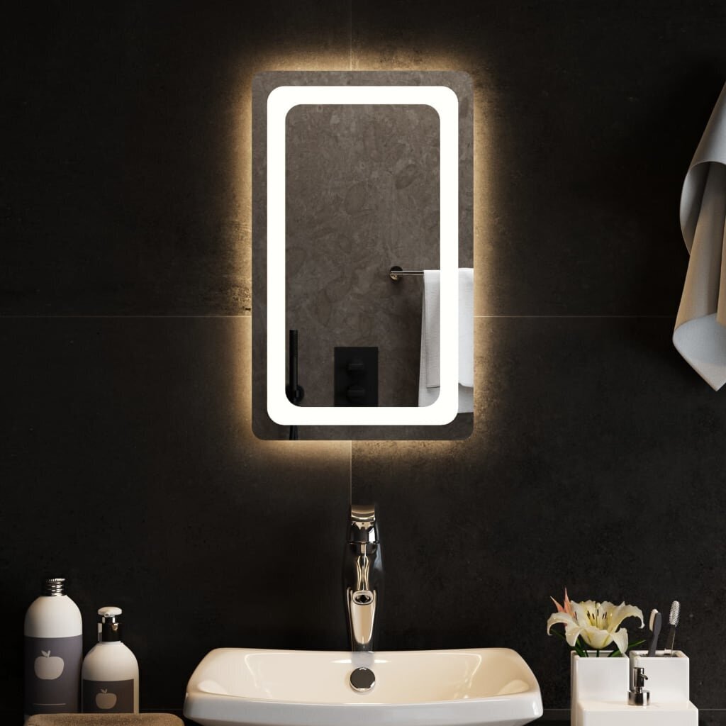 LED vannas istabas spogulis, 30x50cm cena un informācija | Spoguļi | 220.lv