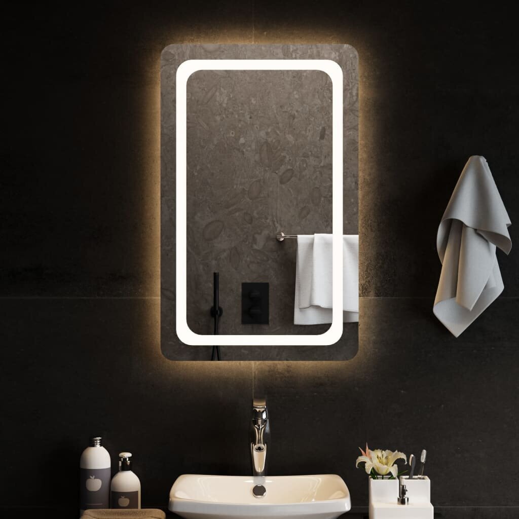LED vannas istabas spogulis, 50x80cm cena un informācija | Spoguļi | 220.lv