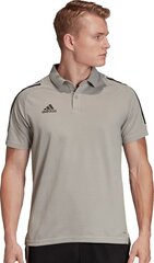 Futbola polo krekls vīriešiem Adidas, brūns цена и информация | Футбольная форма и другие товары | 220.lv