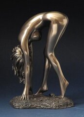 Figūra Bronze Art Gallery (20242) цена и информация | Детали интерьера | 220.lv