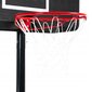 Basketbola stends цена и информация | Basketbola statīvi | 220.lv