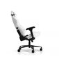 Spēļu krēsls DXRacer Craft C001-W-N цена и информация | Biroja krēsli | 220.lv
