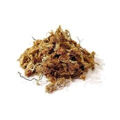 Sphagnum mēslojums 0,5 kg - 25L cena un informācija | Mākslīgie ziedi | 220.lv