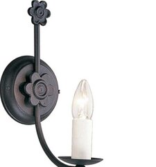 Sienas lampa Elstead Lighting Belfry BY1-BLACK cena un informācija | Sienas lampas | 220.lv