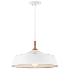 Подвесной светильник Elstead Lighting Danika KL-DANIKA-P цена и информация | Люстры | 220.lv