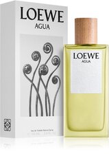 Tualetes ūdens Loewe Agua EDT sievietēm/vīriešiem 75 ml cena un informācija | Sieviešu smaržas | 220.lv