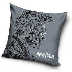 Dekoratīvais spilvens Harry Potter, 40 x 40 cm цена и информация | Декоративные подушки и наволочки | 220.lv