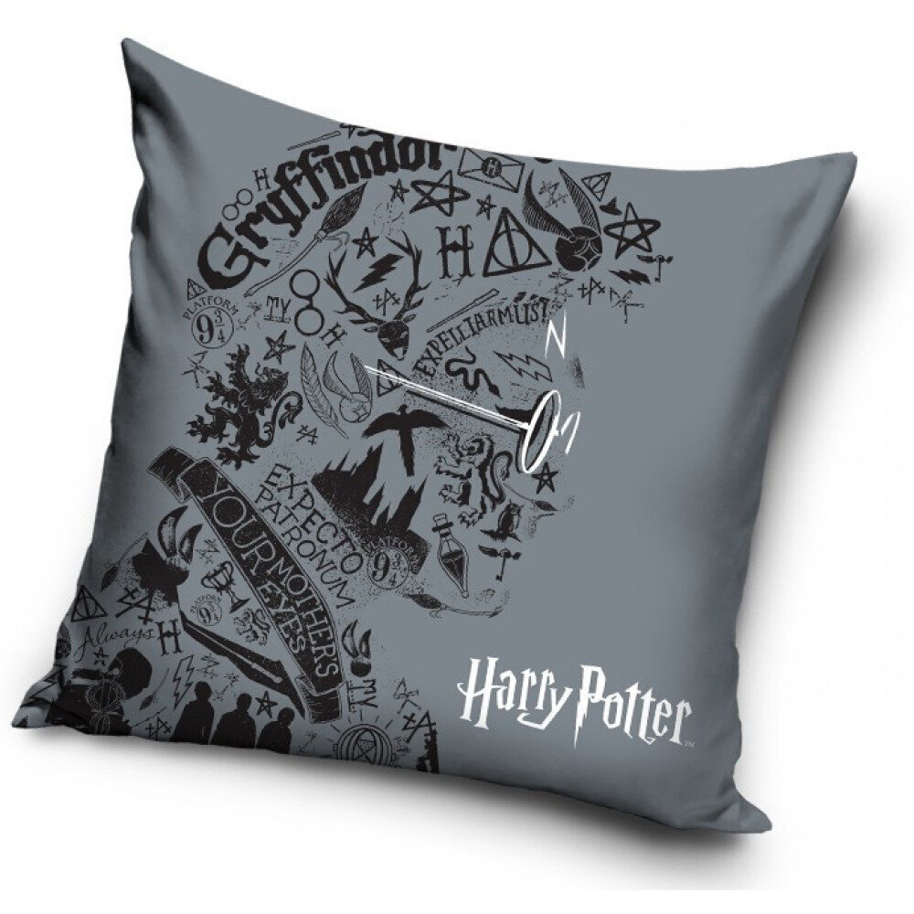 Dekoratīvais spilvens Harry Potter, 40 x 40 cm cena un informācija | Dekoratīvie spilveni un spilvendrānas | 220.lv