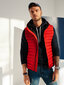 Vīriešu veste ar kapuci Ombre V53 sarkans cena un informācija | Vīriešu vestes | 220.lv