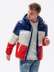 Зимняя куртка, C459, темно-синяя, 16296-7 цена и информация | Мужские куртки | 220.lv