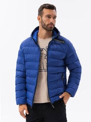 Зимняя куртка мужчины стеганая Омбре C451 цена и информация | Мужские куртки | 220.lv