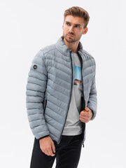 Куртка C528, серая, 23647-7 цена и информация | Мужские куртки | 220.lv