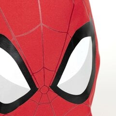 Детский рюкзак Spiderman, красный, 9 x 20 x 25 см цена и информация | Школьные рюкзаки, спортивные сумки | 220.lv