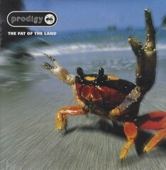 Виниловая пластинка THE PRODIGY "The Fat Of The Land" (2LP) цена и информация | Виниловые пластинки, CD, DVD | 220.lv