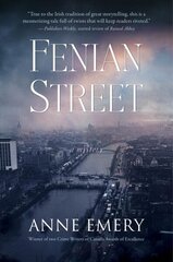 Fenian Street: A Mystery cena un informācija | Fantāzija, fantastikas grāmatas | 220.lv